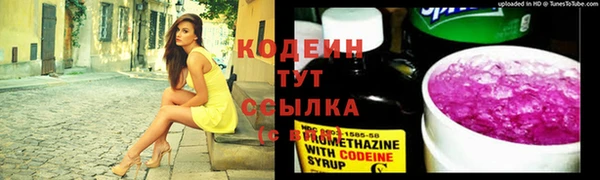 дживик Вязьма