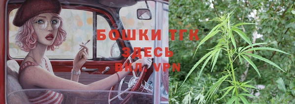 стаф Вяземский