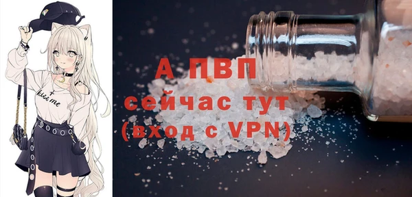 дживик Вязьма
