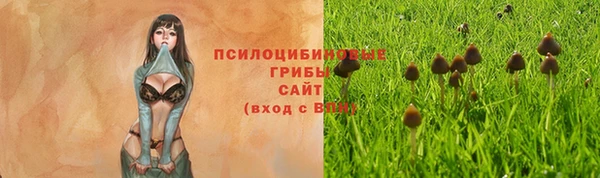 гидропоника Горно-Алтайск